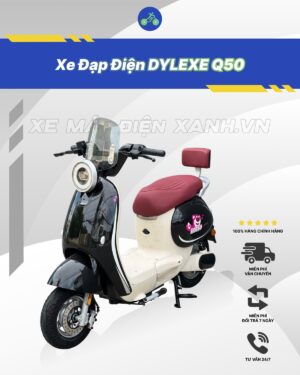 Xe đạp điện Dylexe Q50