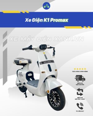 Xe điện K1 Promax