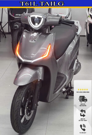 T61L TAILG (BẢNG PIN)