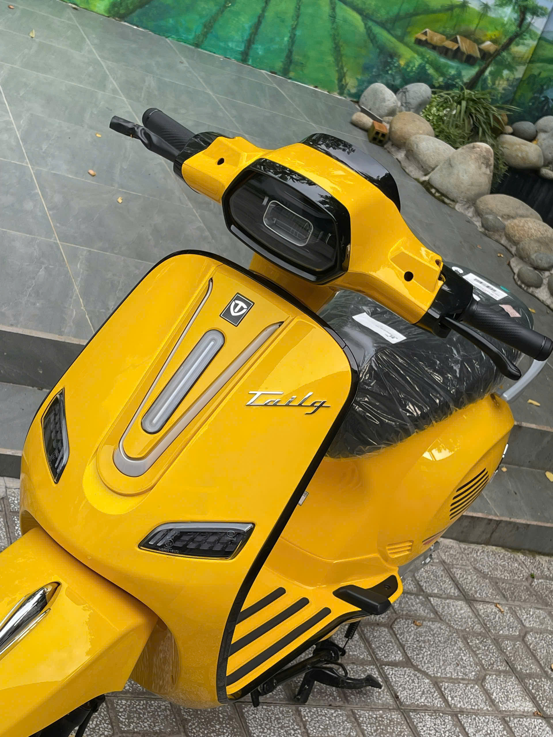 XE MÁY ĐIỆN: R51 TAILG - Image 4