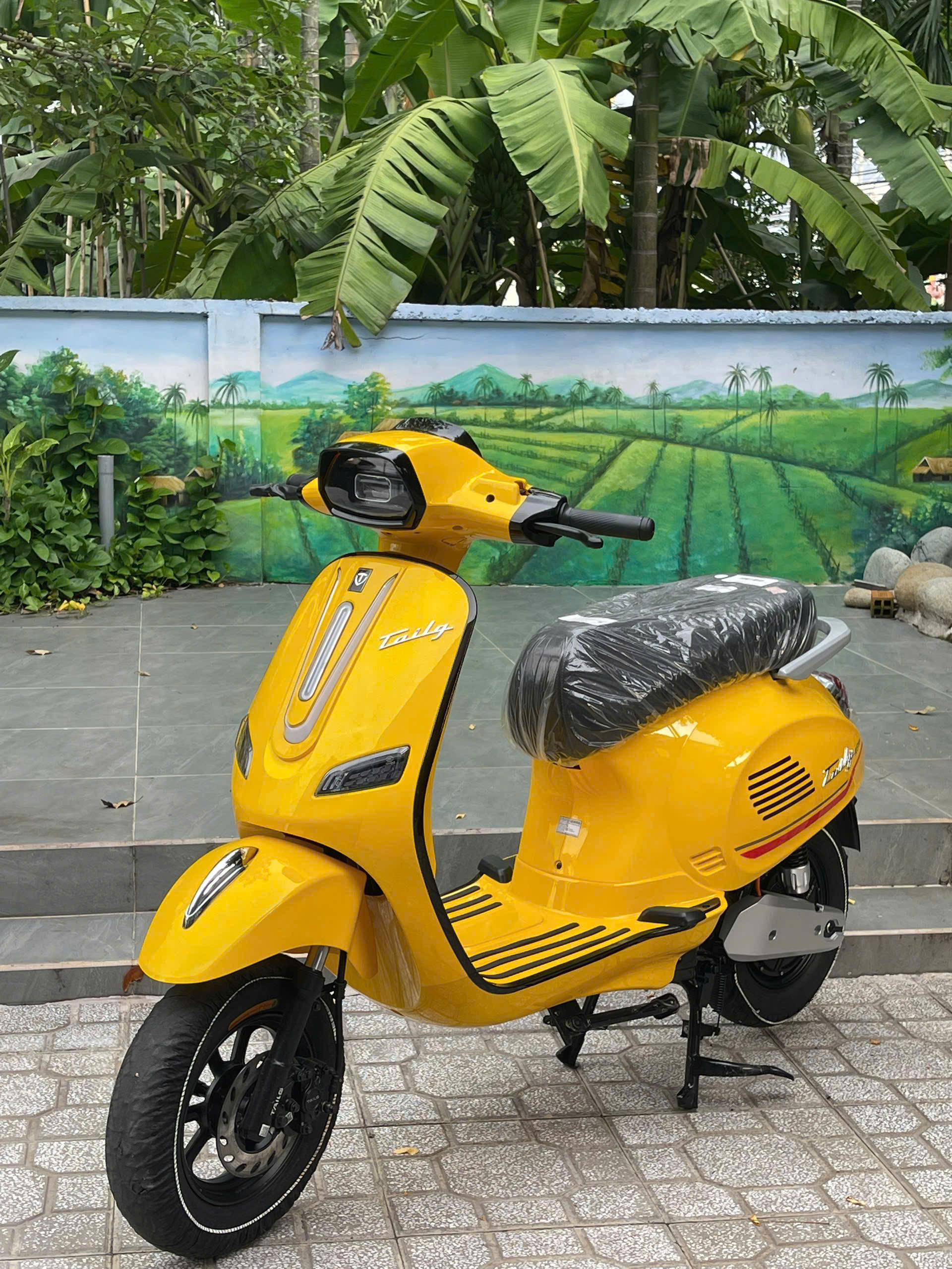 XE MÁY ĐIỆN: R51 TAILG - Image 5